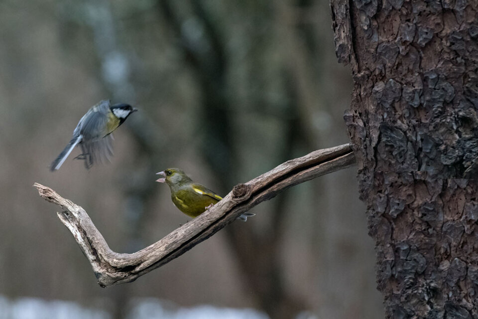 3b800440-435e-4f81-8ee8-5e7d29217b94