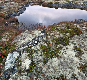 paesaggio, landscape parco nazionale di Dovrefjell, Dovrefjell NP