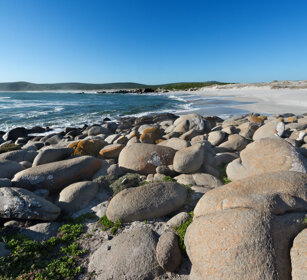 paesaggio, landscape PN della West Coast, West Coast NP