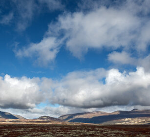 paesaggio, landscape parco nazionale di Dovrefjell, Dovrefjell NP