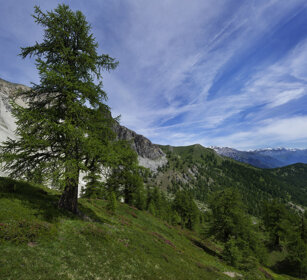 paesaggio, landscape valle Susa, Susa valley