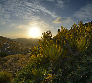 paesaggio, landscape Fuerteventura