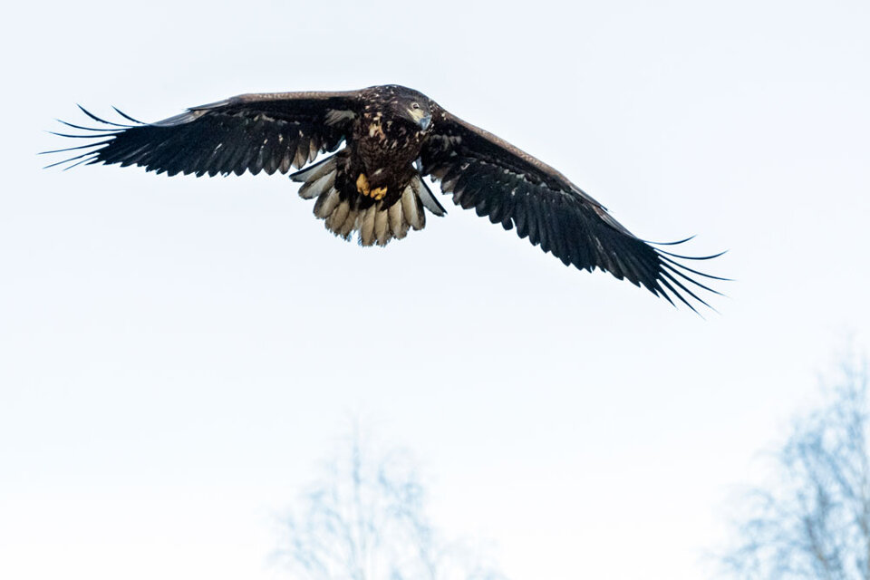 c34f3d11-cfb8-497e-9c01-6d79800d71c7