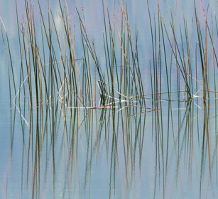 Talbot lake, Banff NP