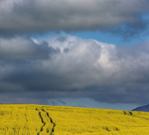 paesaggio, landscape