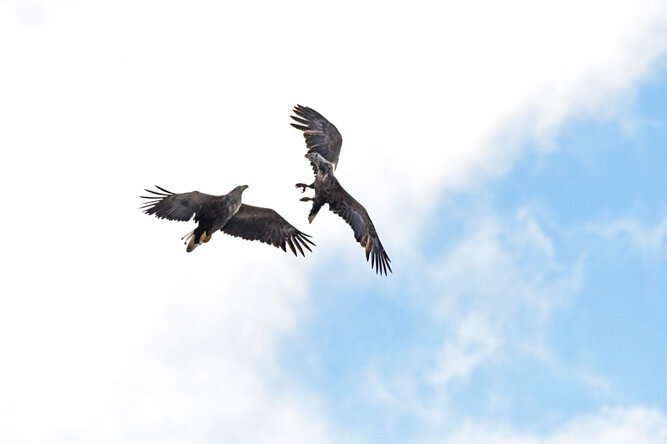 0019d8c1-9278-4182-8288-27ef2dc6eab7 0019d8c1-9278-4182-8288-27ef2dc6eab7