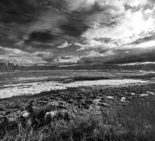 taiga Finlandia, Finland