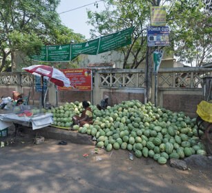 per la strada, on the road Mysore, Karnataka