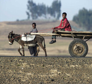 Quotidianità, everyday