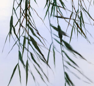 riflessi, reflections Racconigi (Cn)