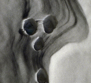 impronta di Lepre, hare's mark valle Susa, Susa valley