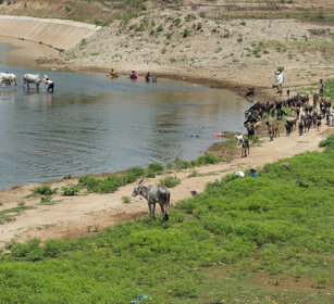 fiume Kabini, Kabini river Karnataka