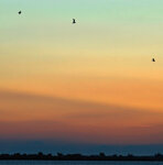 tramonto, sunset Camargue, St. Maries de la mer