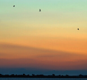 tramonto, sunset Camargue, St. Maries de la mer