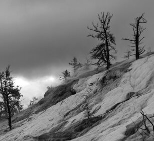 Mammoth Hot Springs, Yellowstone