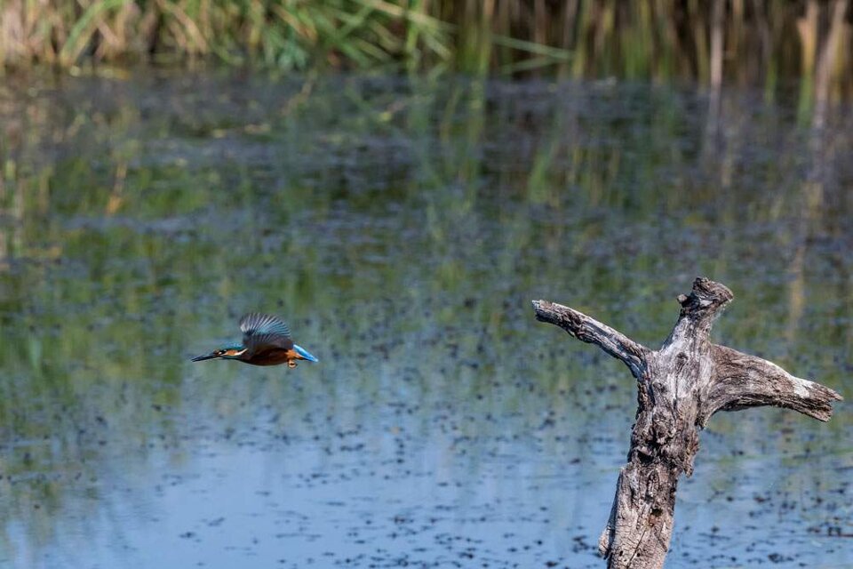 de0e6e82-fec7-4093-b1c6-29d3c32942d6.jpeg de0e6e82-fec7-4093-b1c6-29d3c32942d6.jpeg