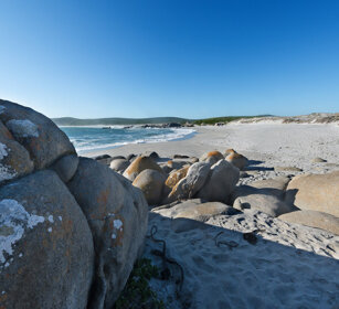 paesaggio, landscape PN della West Coast, West Coast NP