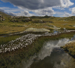 paesaggio, landscape parco della Vanoise, Francia. Vanoise NP, France