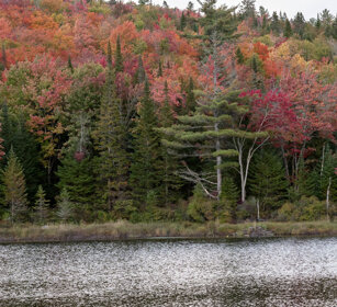 Indian summer, lake à Sam Mauricie NP
