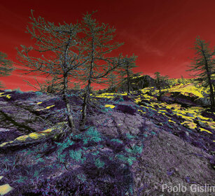 paesaggio, landscape