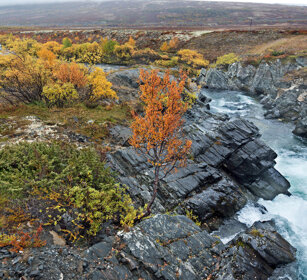 paesaggio, landscape parco nazionale di Dovrefjell, Dovrefjell NP