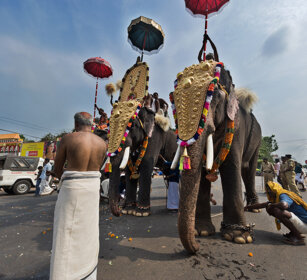 Pooram Elephant Festival 2010 Thrissur, Kerala