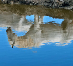 riflessi, reflections Camargue