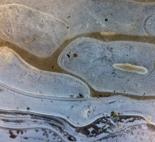 pozzanghera gelata, icy puddle