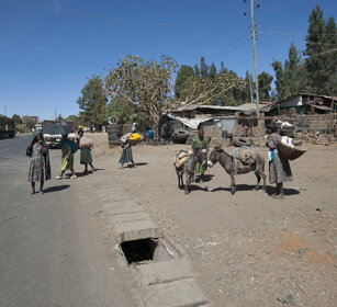 Quotidianità, everyday