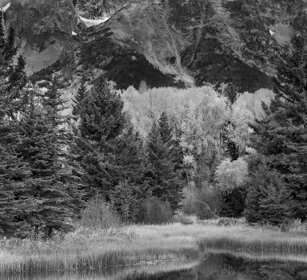 paesaggio, landscape Grand Teton range, Schwabacher Landing
