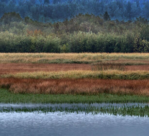 Vermilion lakes, Banff NP