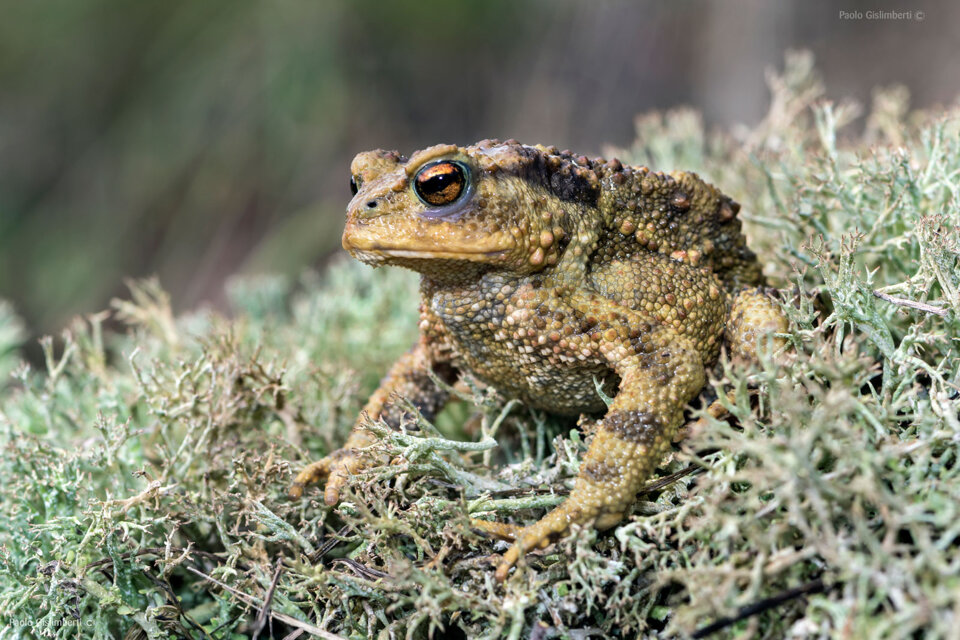 9af62df6-ff34-433a-a8f8-f73593fb7a4d 9af62df6-ff34-433a-a8f8-f73593fb7a4d