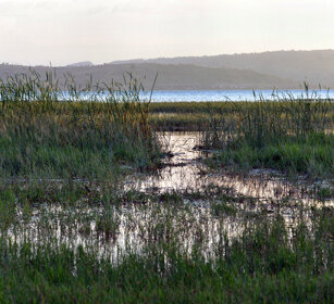 tramonto, sunset lago Awasa, lake Awasa