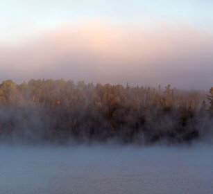 Trees in the fog Mont Tremblent NP