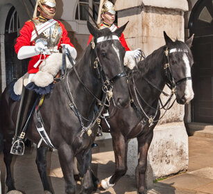 Guardie Reali, Londra. Royal Guards, London