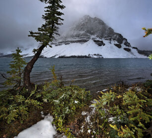 Bow lake, Banff NP