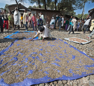 per la strada, on the road, Debre Libanos
