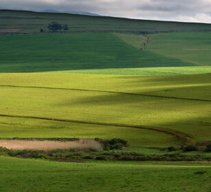 paesaggio, landscape