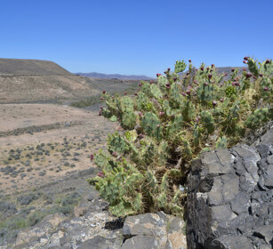 paesaggio, landscape Fuerteventura