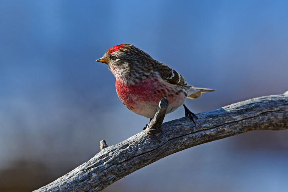 9f4d7088-53b0-4507-9d1c-bb1696999e8c 9f4d7088-53b0-4507-9d1c-bb1696999e8c