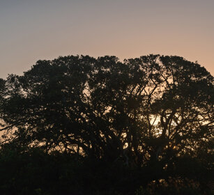 alba, sunrise Riserva naturale De Hoop, De Hoop natural reserve