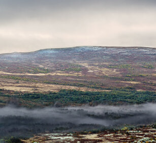 paesaggio, landscape parco nazionale di Dovrefjell, Dovrefjell NP