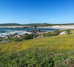 paesaggio, landscape PN della West Coast, West Coast NP