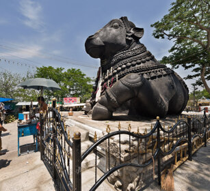 il Nandi sdraiato, the lying Nandi Mysore, Karnataka
