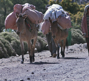 contadini, country men montagne del Simien, Simien mountains