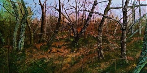 dfdc3b4a-3379-4480-bf3d-0dde0ebb4666 dfdc3b4a-3379-4480-bf3d-0dde0ebb4666