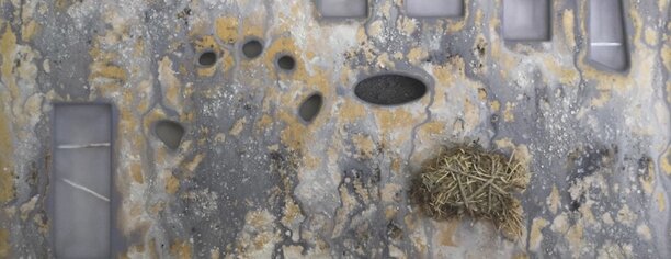 3d5aad9b-00d2-4efe-b142-6cb773d65db3 3d5aad9b-00d2-4efe-b142-6cb773d65db3