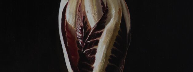 1af615f1-6270-4571-b698-91254a9158e2 1af615f1-6270-4571-b698-91254a9158e2