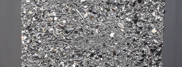 97c086db-ecf0-4101-b950-d6a4a0bb9038 97c086db-ecf0-4101-b950-d6a4a0bb9038