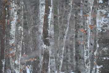 c5cb7679-d8ed-4406-a547-81fa650da4de c5cb7679-d8ed-4406-a547-81fa650da4de